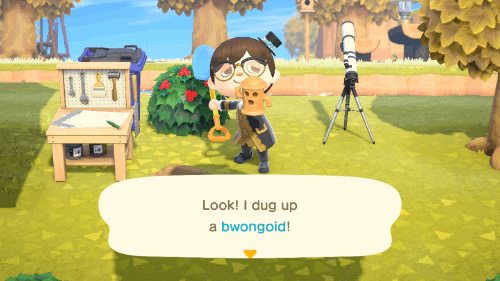 Animal Crossing Gyroid Unburied Bwongoid