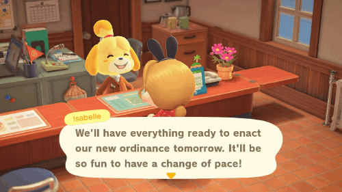 Animal Crossing New Horizons Ordinance Daily Limit