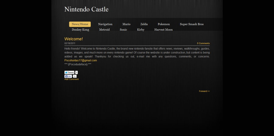 Nintendo Castle Version 1