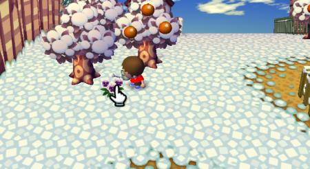  Animal Crossing: City Folk Silver Watering Can