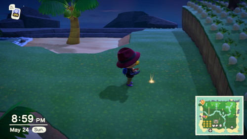 animal crossing glowing money spot