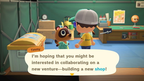 Animal Crossing Nooks Cranny Construction