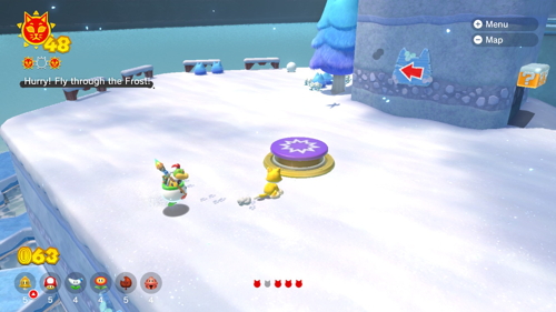 Bowser's Fury Crisp Climb Castle Cat Shine