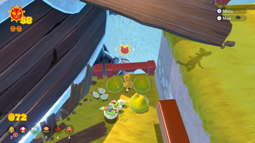 Bowser's Fury Fur Step Island Cat Coins