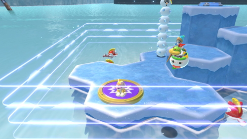 Bowser's Fury Lake Lapcat Cat Shine