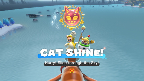 Bowser's Fury Lake Lapcat Cat Shine