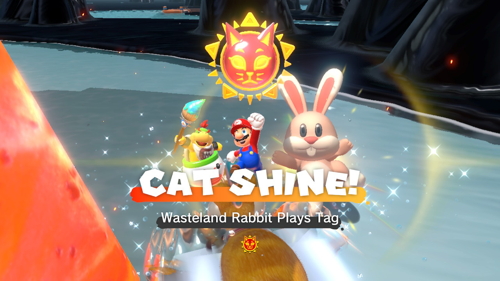 Bowser's Fury Lake Lapcat Cat Shine