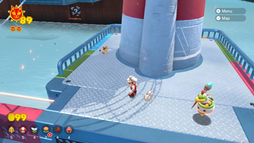 Bowser's Fury Lake Lapcat Cat Shine