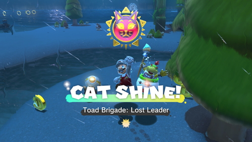 Bowser's Fury Lake Lapcat Cat Shine