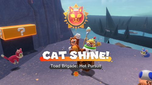 Bowser's Fury Lake Lapcat Cat Shine
