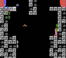 Metroid NES Kraid Location