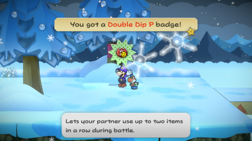 Paper Mario The Thousand Year Door Badges