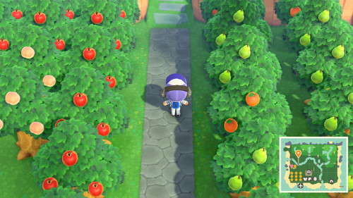 Animal Crossing New Horizons Fruit Trees Acnh Fruit Guide