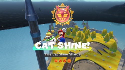 Bowser's Fury Fur Step Island Cat Shine