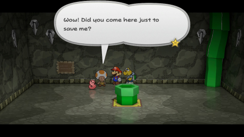 Paper Mario The Thousand Year Door Trouble Center