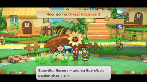 Paper Mario The Thousand Year Door Trouble Center